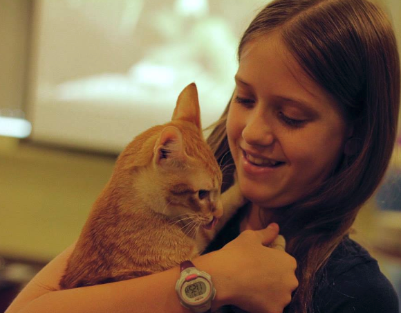 PURINA Verafede Project